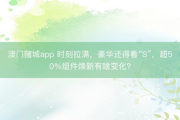澳门赌城app 时刻拉满，豪华还得看“S”，超50%组件焕新有啥变化?