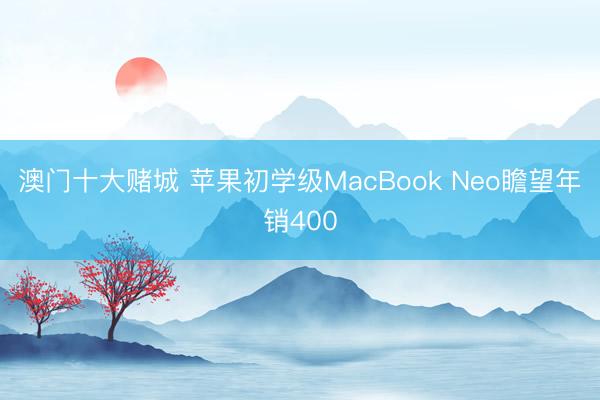 澳门十大赌城 苹果初学级MacBook Neo瞻望年销400