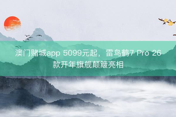 澳门赌城app 5099元起，雷鸟鹤7 Pro 26款开年旗舰颠簸亮相